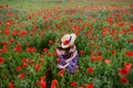 A beautiful young girl is sitting in a dress with bare shoulders and a straw hat in a poppy field. Close-up Royalty Free Stock Photo