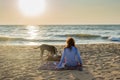 Beautiful young girl sitting on the towel at the beach with two dogs playing around Royalty Free Stock Photo