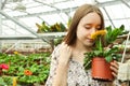 Girl sniffing gerbera flower in greenhouse Royalty Free Stock Photo