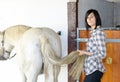 Beautiful young girl and white horse in the stable Royalty Free Stock Photo