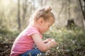 Beautiful young cute girl in woods picking wild flowers in summer sunshine with light rays shining Royalty Free Stock Photo