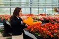 Beautiful young girl, worker watering flowers in greenhouse