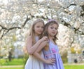 Beautiful young girls with blue eyes in a white dresses in the garden with apple trees blosoming having fun and enjoying smell of Royalty Free Stock Photo