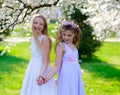 Beautiful young girls with blue eyes in a white dresses in the garden with apple trees blosoming having fun and enjoying smell of Royalty Free Stock Photo