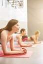 Beautiful young girls are exercising in gym Royalty Free Stock Photo