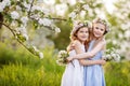 Beautiful young girls in long dresses in the garden with blosoming  apple trees. Smiling girls embracing, having fun and enjoying Royalty Free Stock Photo