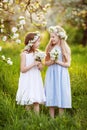 Beautiful young girls in long dresses in the garden with blosoming apple trees. Smiling girls having fun and enjoying