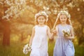 Beautiful young girls in long dresses in the garden with blosoming  apple trees. Smiling girls runing, having fun and enjoying. Royalty Free Stock Photo