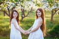 Beautiful young girls in white dresses in the garden with apple trees blosoming at the sunset. two friends hugging Royalty Free Stock Photo