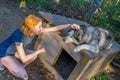 Beautiful young lady with her adorable cute dog of siberian hasky breed in summer forest at sunset. Happy teenage girl and pet.
