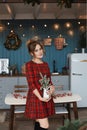 Beautiful young model woman in checkered red dress posing with Christmas decorations in the kitchen. Happy blonde girl Royalty Free Stock Photo