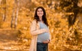 Beautiful young pregnant woman hugging her belly on walk in autumn park Royalty Free Stock Photo