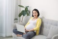 Beautiful young pregnant woman with laptop sitting on sofa at home Royalty Free Stock Photo