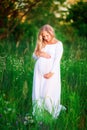 Beautiful young pregnant woman relaxing in nature on a beautiful sunny day Royalty Free Stock Photo