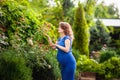 Beautiful young pregnant woman is standing in the summer near a blooming garden Royalty Free Stock Photo