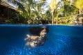 Beautiful young pregnant woman underwater in swimming pool split photography. Royalty Free Stock Photo