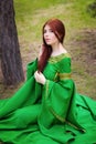 Beautiful, young, red-haired girl in a green medieval dress with long sleeves, with a golden crown, sits on the grass, in a fairy Royalty Free Stock Photo