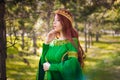 A beautiful, young, red-haired girl in a green medieval dress with long sleeves, with a golden crown, standing on the grass, in a Royalty Free Stock Photo