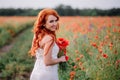 Beautiful young red-haired woman in poppy field holding a bouquet of poppies Royalty Free Stock Photo