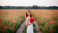 Beautiful young red-haired woman in poppy field holding a bouquet of poppies Royalty Free Stock Photo