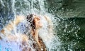 Beautiful young sexy redhead woman under the splashing water of the waterfall in the Wellness pool and raises her arms, having fun Royalty Free Stock Photo