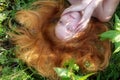 Beautiful young thoughtful woman, portrait, eyes half closed, lying on the green field, with flowers, in nature