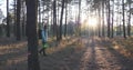 Beautiful young tourist girl in bright blue jacket with big black backpack walking through fall forest at sunset. Sun rays breakin