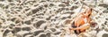 Beautiful young woman in bikini top swinging in hammock on the sandy beach and cheerful laughing in camera top view Royalty Free Stock Photo