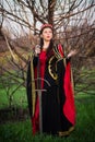 Beautiful, young woman in a black and red medieval dress with a crown on her head with a sword in her hands stands on the backgrou Royalty Free Stock Photo