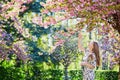 Beautiful young woman in blooming spring park Royalty Free Stock Photo