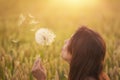 Beautiful young woman blows dandelion in a wheat field in the summer sunset. Beauty and summer concept Royalty Free Stock Photo