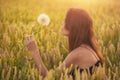 Beautiful young woman blows dandelion in a wheat field in the summer sunset. Beauty and summer concept Royalty Free Stock Photo