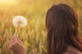 Beautiful young woman blows dandelion in a wheat field in the summer sunset. Beauty and summer concept Royalty Free Stock Photo