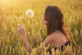 Beautiful young woman blows dandelion in a wheat field in the summer sunset. Beauty and summer concept Royalty Free Stock Photo