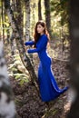 Beautiful, young woman in a blue dress stands near a tree over a cliff, against a forest background. Royalty Free Stock Photo