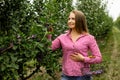 Beautiful young woman picking ripe organic plums Royalty Free Stock Photo