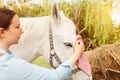 young woman cleans a white horse. Pink rag, microfibre to clean wool. Dirty grooming. Care pet, love, friendship, trust Royalty Free Stock Photo