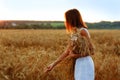 A beautiful young woman collects and holds golden ears of wheat in her hands in a wheat field at sunset Royalty Free Stock Photo