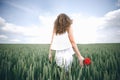 A Beautiful Young Woman In White Dress And Red Rose In Hand Standing Back In The Wheat Field Against Cloudy Sky. Royalty Free Stock Photo