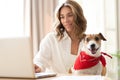 Beautiful young woman with cute dog working on laptop at home. Royalty Free Stock Photo