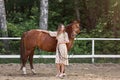 Beautiful young woman in elegant lifestyle dress standing ang hugging her friend red horse outdoors Royalty Free Stock Photo