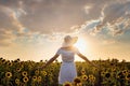 Beautiful young woman enjoying nature on the field of sunflowers at sunset Royalty Free Stock Photo