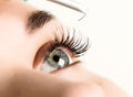Beautiful young woman eyelash extension. Woman eye with long eyelashes. Beauty salon concept Royalty Free Stock Photo