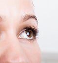 Beautiful young woman eyelash extension. Woman eye with long eyelashes. Beauty salon concept Royalty Free Stock Photo