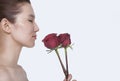 Beautiful young woman with eyes closed smelling a red rose, studio shot Royalty Free Stock Photo