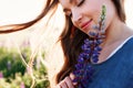 Beautiful young woman face portrait in lupine field, holding flower near cheek Royalty Free Stock Photo