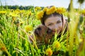 Beautiful young woman on a field with green grass and yellow dandelion flowers in a sunny day. Girl with small dog on nature Royalty Free Stock Photo