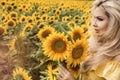 Beautiful young woman in a field of sunflowers in a yellow dress Royalty Free Stock Photo