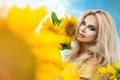 Beautiful young woman in a field of sunflowers in a yellow dress Royalty Free Stock Photo