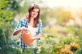 Beautiful young woman gardening Royalty Free Stock Photo